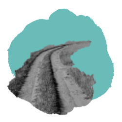 pathway-road_blob-icon