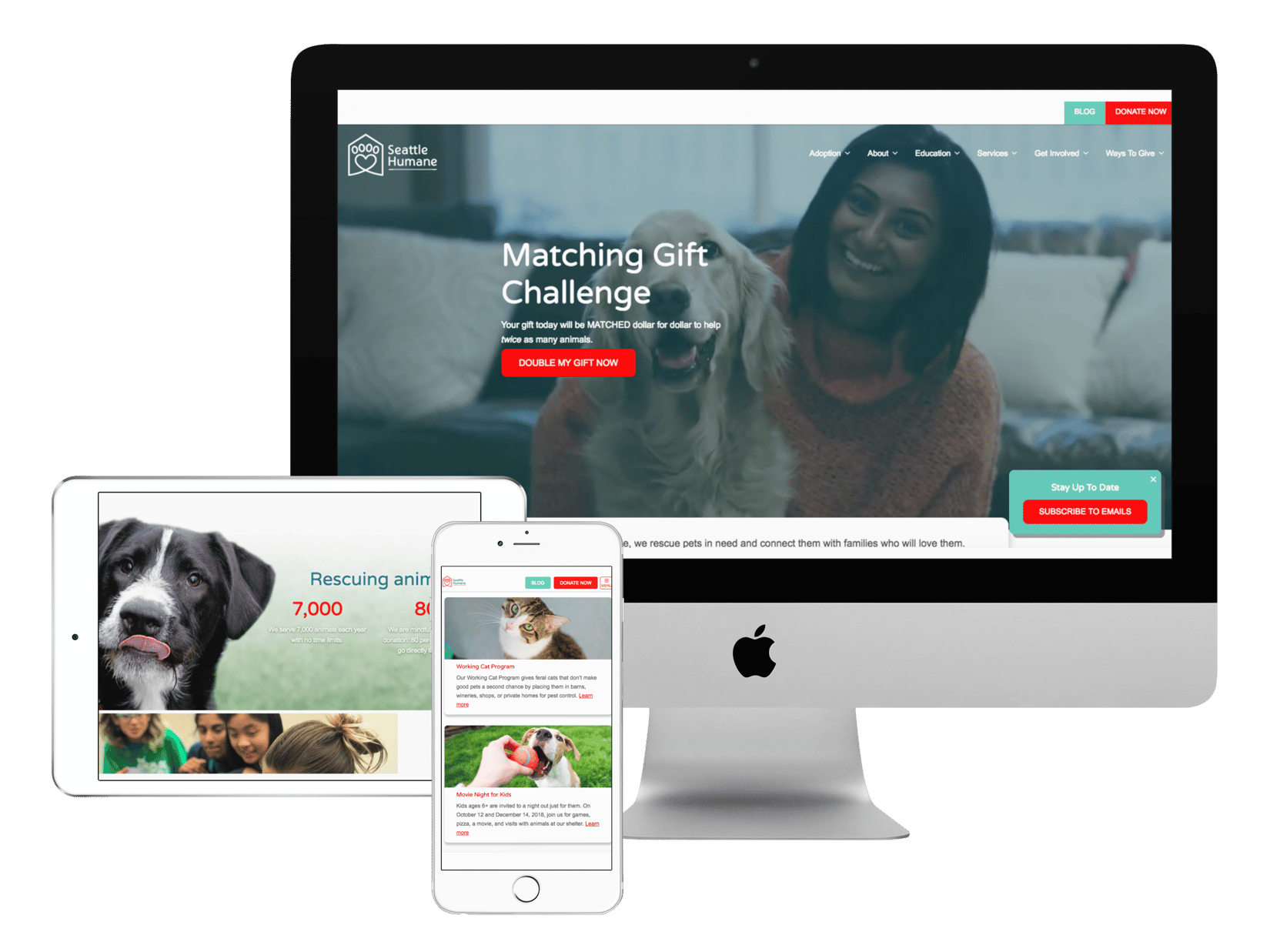 Introducing The New SeattleHumane.Org