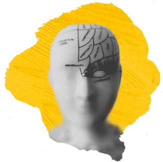 picture of dummy head with writing on brain
