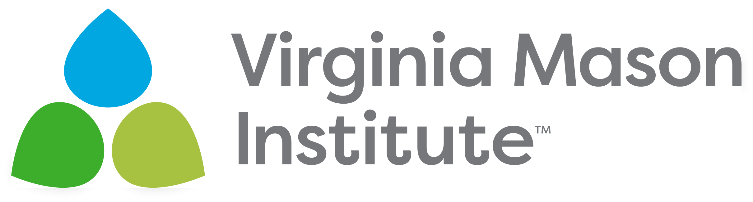 VMI-Logo