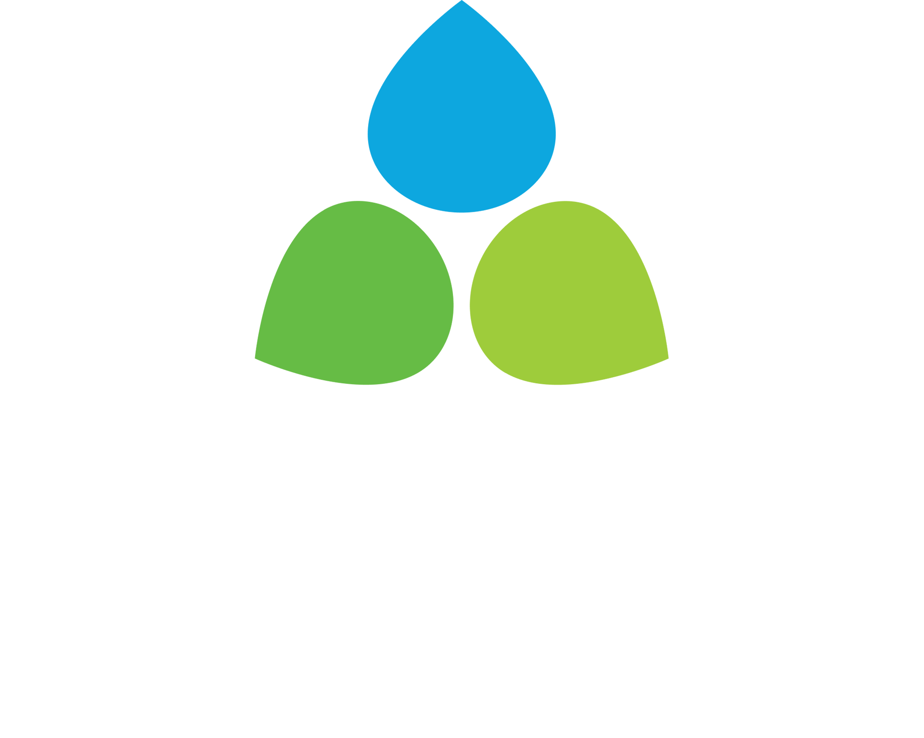 VMI_Logo