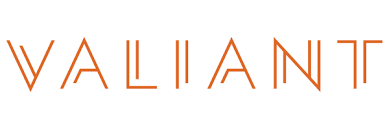 Valiant Technology Logo