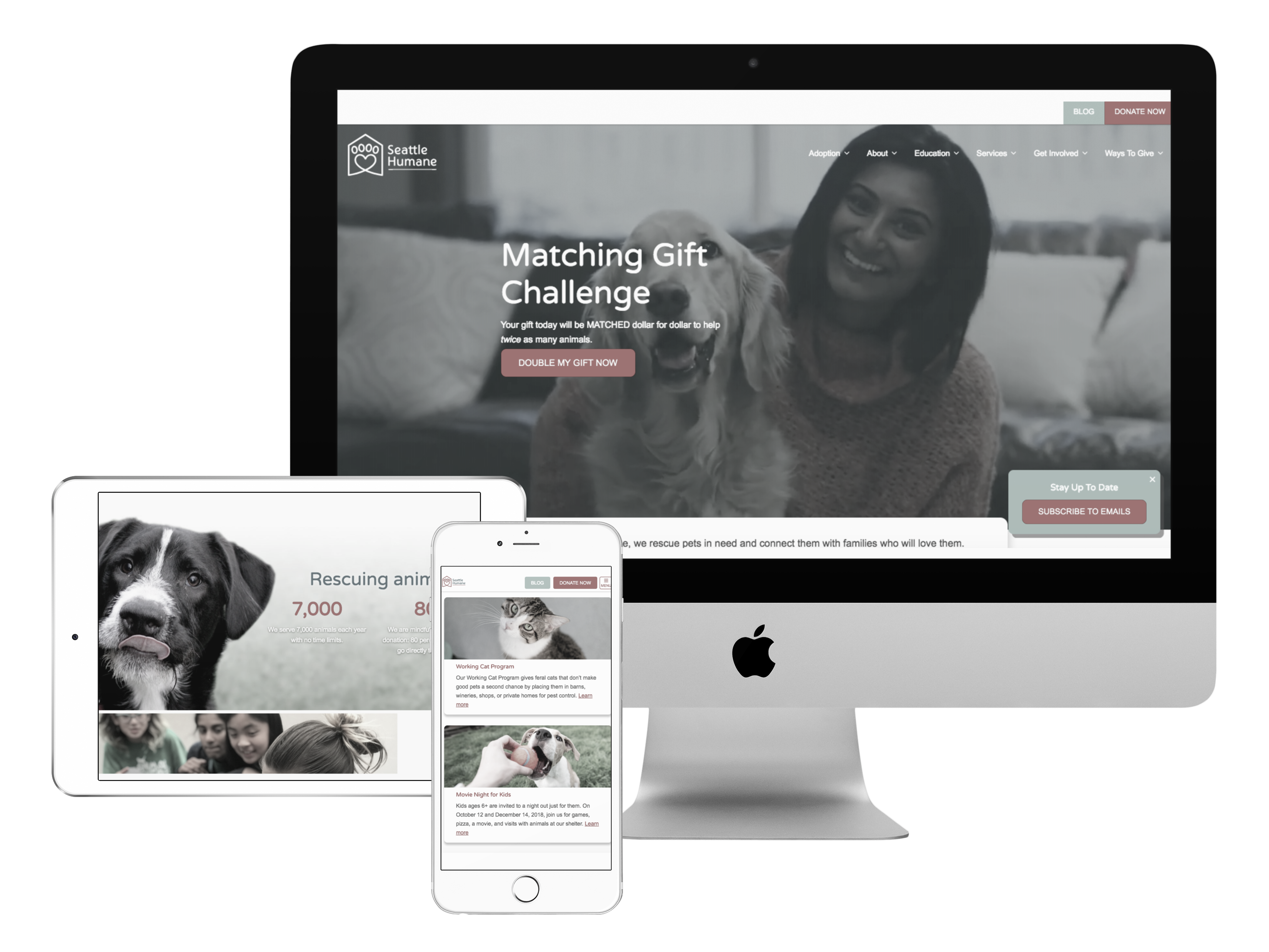 Introducing The New SeattleHumane.Org